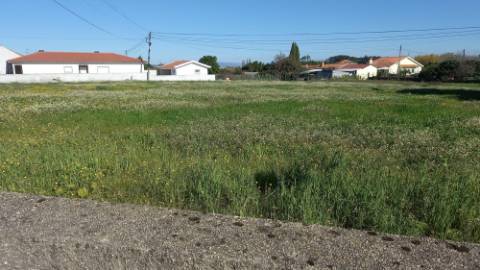 Terreno para Construção