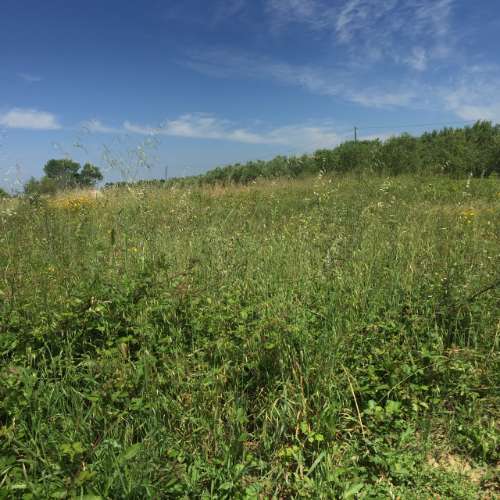 Terreno para Construção