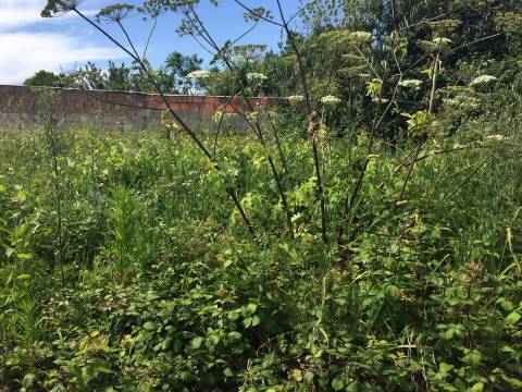 Terreno para Construção