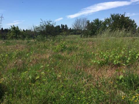 Terreno para Construção