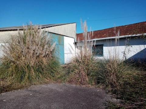 Prédio com mais de 4.000 m² para investimento