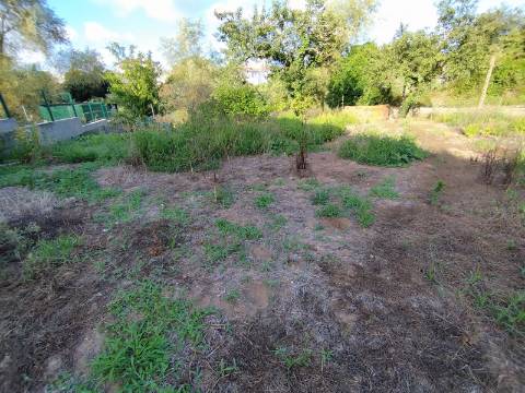 Terreno para construção, com casa em Ruinas - a 5 Km de Anadia