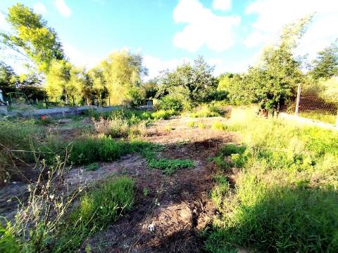 Terreno para construção, com casa em Ruinas - a 5 Km de Anadia