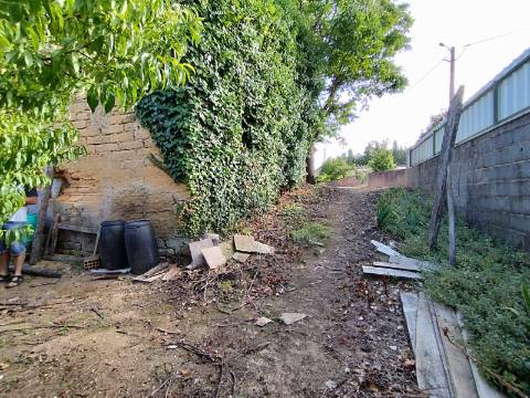 Terreno para construção, com casa em Ruinas - a 5 Km de Anadia