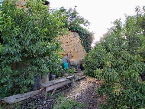 Terreno para construção, com casa em Ruinas - a 5 Km de Anadia