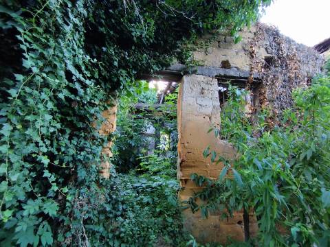 Terreno para construção, com casa em Ruinas - a 5 Km de Anadia