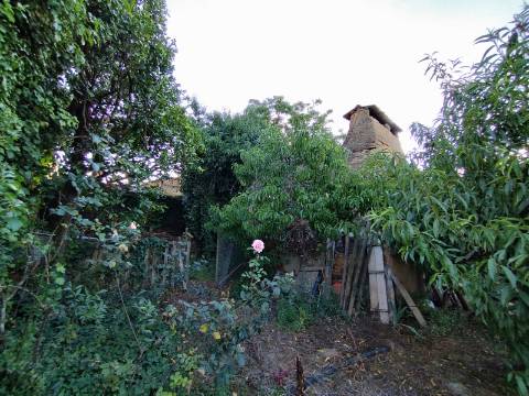 Terreno para construção, com casa em Ruinas - a 5 Km de Anadia