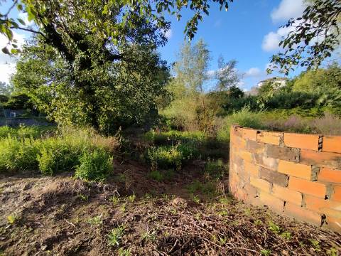 Terreno para construção, com casa em Ruinas - a 5 Km de Anadia