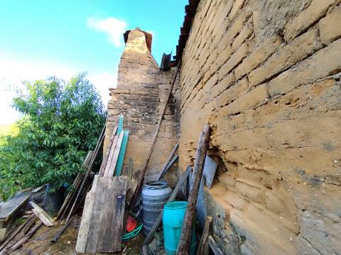 Terreno para construção, com casa em Ruinas - a 5 Km de Anadia