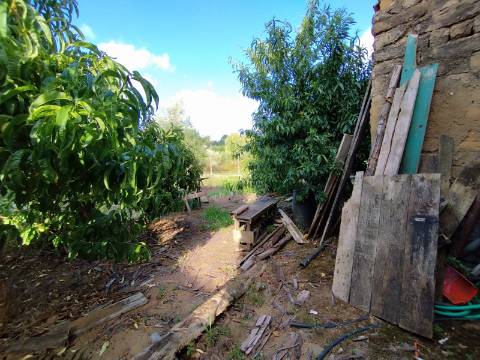 Terreno para construção, com casa em Ruinas - a 5 Km de Anadia