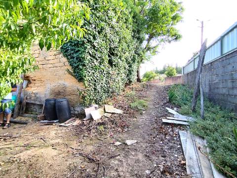 Terreno para construção, com casa em Ruinas - a 5 Km de Anadia