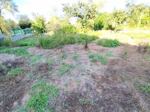 Terreno para construção, com casa em Ruinas - a 5 Km de Anadia