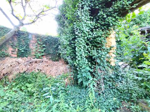 Terreno para construção, com casa em Ruinas - a 5 Km de Anadia