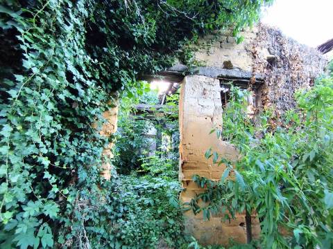 Terreno para construção, com casa em Ruinas - a 5 Km de Anadia