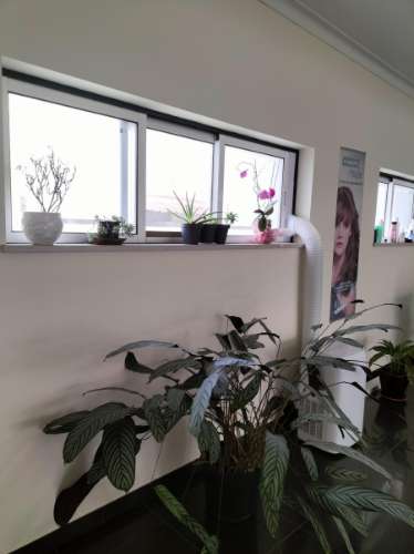 Salão de Cabeleireiro / Estética para Trespasse