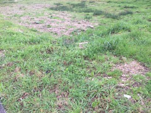 Lote para Construção de 8 fogos no centro de Oliveira do Bairro