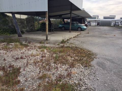 Stand Automóvel em Vagos