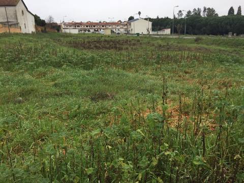 Loteamento Habitacional
