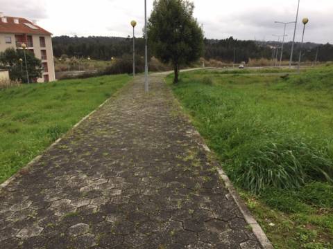 Lotes para Construção de 12 fogos em Oliveira do Bairro