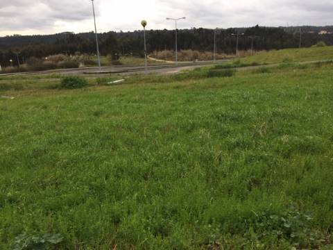 Lotes para Construção de 12 fogos em Oliveira do Bairro