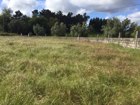 Quinta Agrícola com 14.000 m²