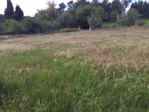 Quinta Agrícola com 14.000 m²