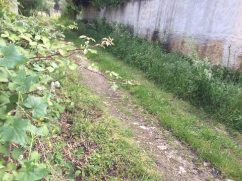 Quinta Agrícola com 14.000 m²