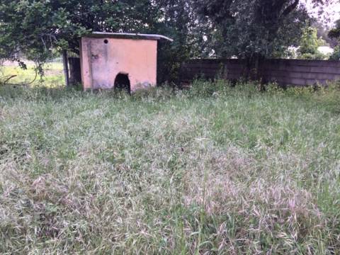 Quinta Agrícola com 14.000 m²