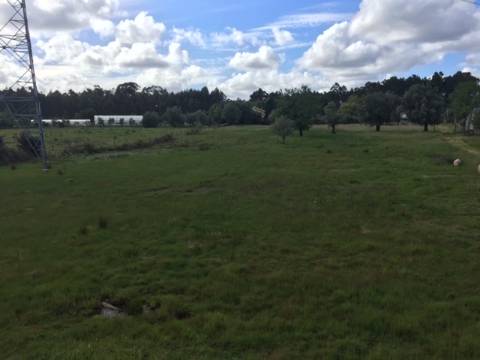Quinta Agrícola com 14.000 m²