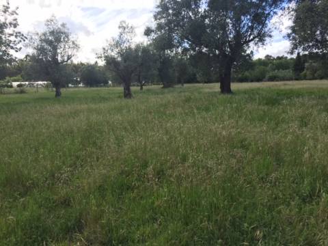 Quinta Agrícola com 14.000 m²