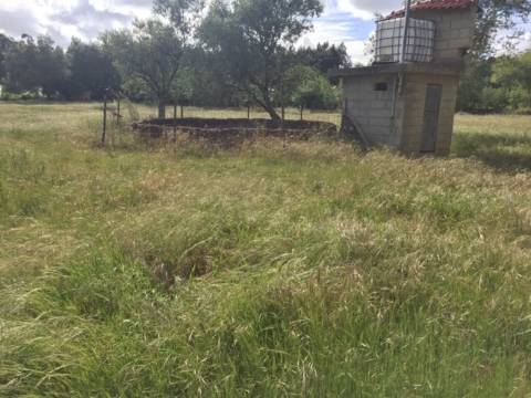 Quinta Agrícola com 14.000 m²