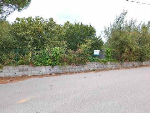 Terreno para Construção em Bustos