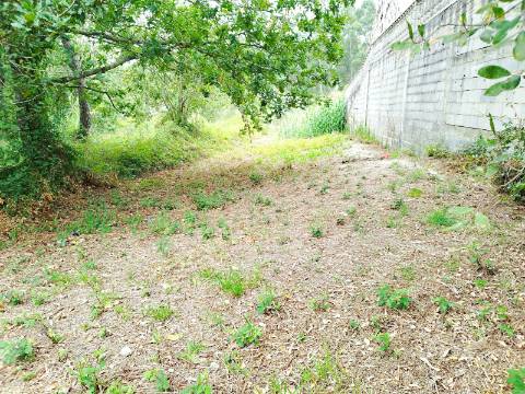 Terreno para Construção em Bustos