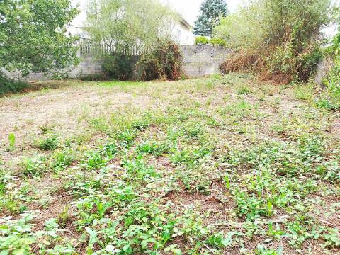 Terreno para Construção em Bustos