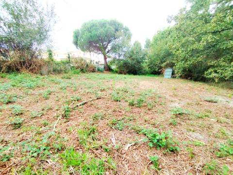 Terreno para Construção em Bustos