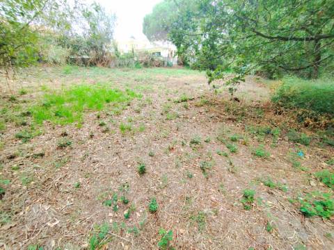 Terreno para Construção em Bustos