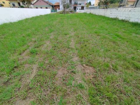 Terreno urbano para construção - Anadia