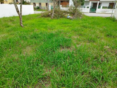 Terreno urbano para construção - Anadia