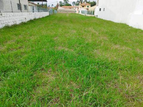 Terreno urbano para construção - Anadia