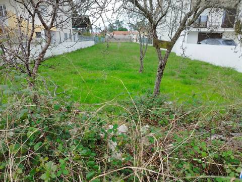 Terreno urbano para construção - Anadia
