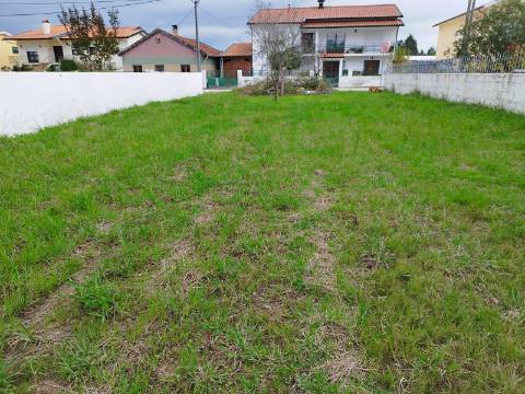 Terreno urbano para construção - Anadia