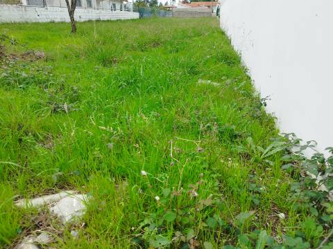 Terreno urbano para construção - Anadia