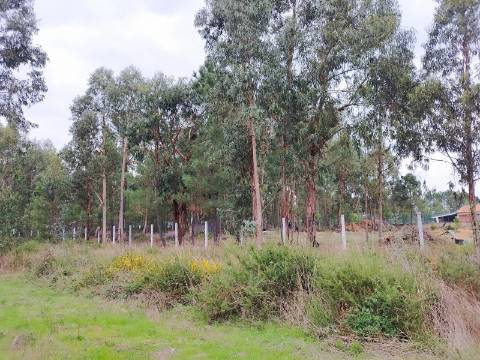 Terreno para construção a 4 Km do Centro de Anadia