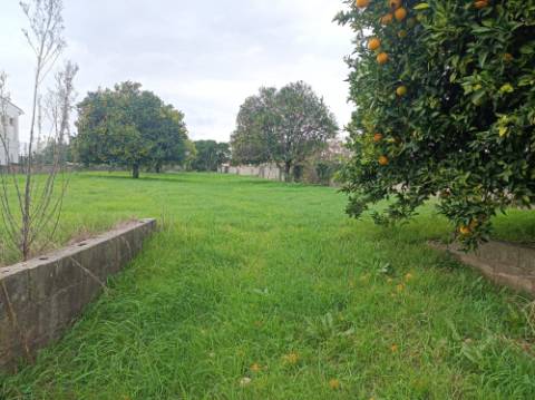 Terreno Urbano para Construção em Ancas