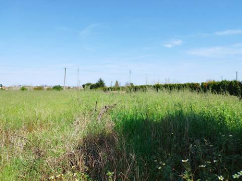 Terreno para Construção - Bustos