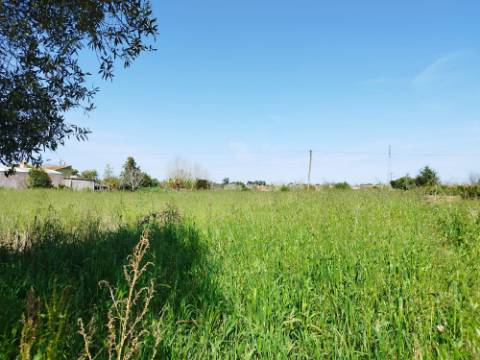 Terreno para Construção - Bustos