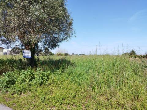 Terreno para Construção - Bustos