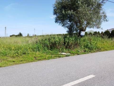 Terreno para Construção - Bustos