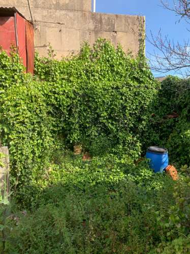 Moradia para Renovar com Jardim em Bonfim,