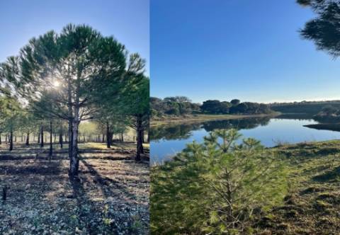 Herdade das Sesmarias dos Nobres - Reserva Agrícola